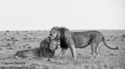 KENYA 2024 CLASSIC